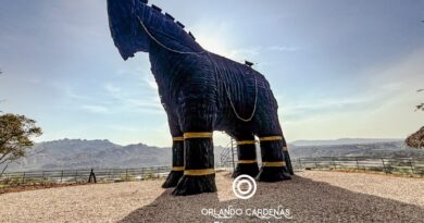 «CABALLO DE TROYA»