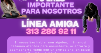 «LÍNEA AMIGA TAURAMENA»